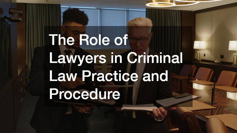 The Role of Lawyers in Criminal Law Practice and Procedure